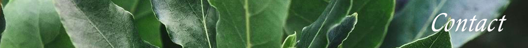 Herbalist pagina, banner van Laurier Herbalist
