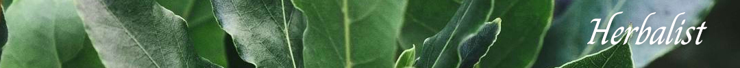 Herbalist pagina, banner van Laurier Herbalist