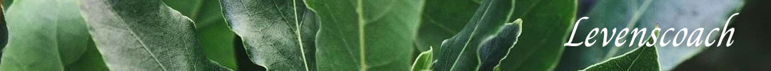 Herbalist pagina, banner van Laurier Herbalist