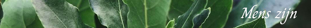 Herbalist pagina, banner van Laurier Herbalist