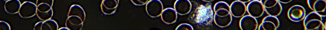 Banner for Microscopie section