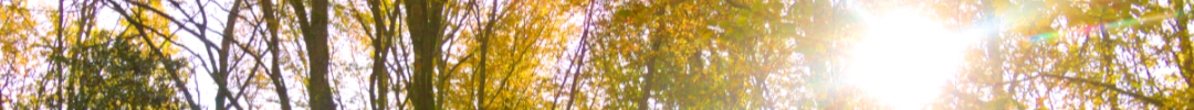 Banner for Healing section